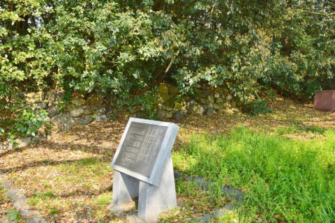 京都御苑内の二条古城石垣