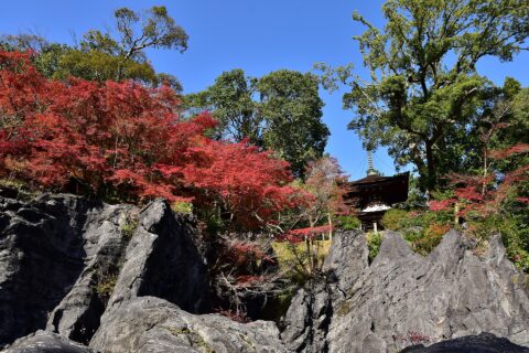 石山寺の紅葉