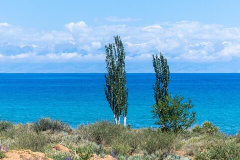 The southern shore Tian Shan mountains on the northern shore. Issyk-Kul (Russian: Иссык-Куль, Issyk-Kulj) is an endorheic lake (Endorheic lakes are bodies of water that do not flow into the sea) in the northern Tian Shan