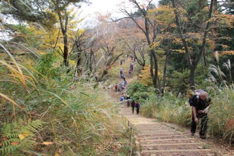 一丁平 高尾山