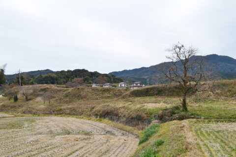 怡土城 大門口付近の土塁