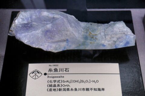 糸魚川石（秋田大学附属鉱業博物館所蔵）