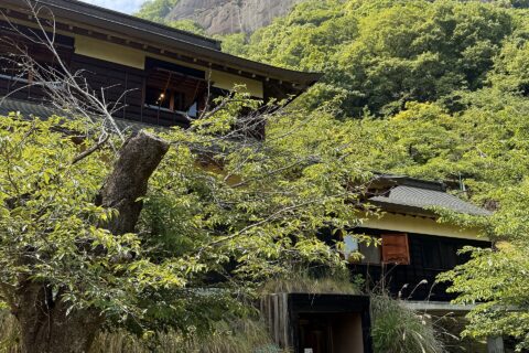 View of the Iwadono Castle site upon the mountain top