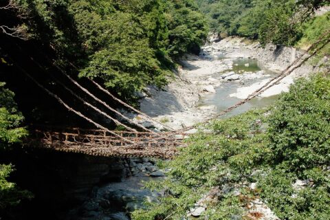 祖谷のかずら橋