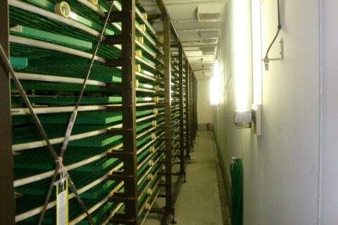 Equipment related to the breeding of silkworms (according to the file name).