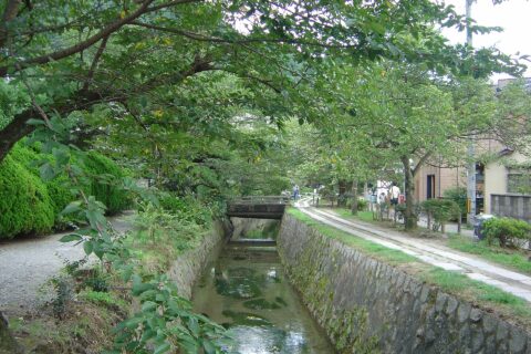the philosophers' walk in Kyōto, Japan