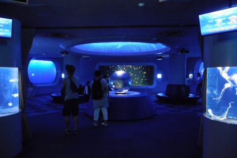 新江ノ島水族館のクラゲファンタジーホール。