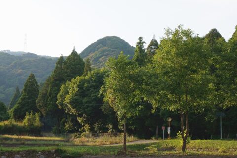 The Mount Jō(Jōyama) and its southern ridge, there is the Katsunoo Castle and the Wakayama Fort. Seen from near the information board at the foot of the mountain. Ushiwaramachi, Tosu, Saga.