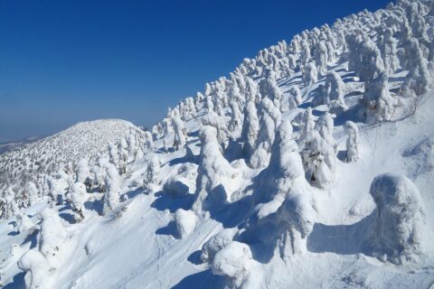 八甲田の樹氷（日本三大樹氷） - 青森県青森市
