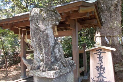 Komainu statues in Kagami-jinja, Karatsu, Saga, Japan