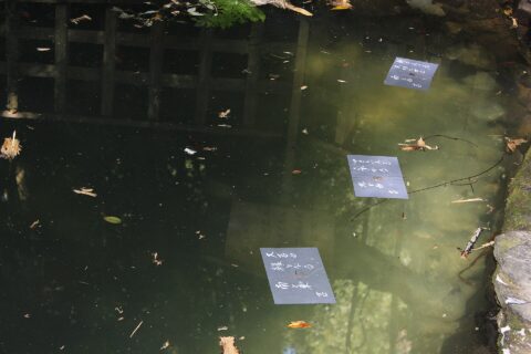 八重垣神社にある「鏡の池」