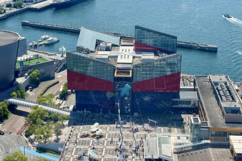 海遊館 空撮