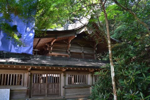 竈門神社 下宮本殿