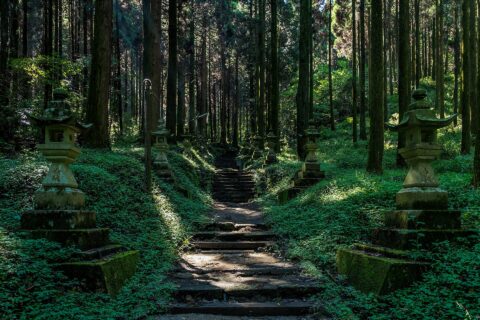 It is Kamenami Kumano Shrine located in Kumamoto.
