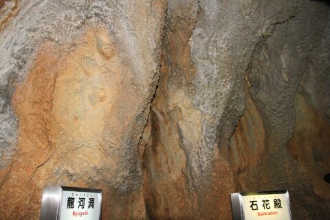 龍河洞 内部（石花殿）（高知県香美市）