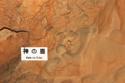 龍河洞 内部（神の壺）（高知県香美市）
