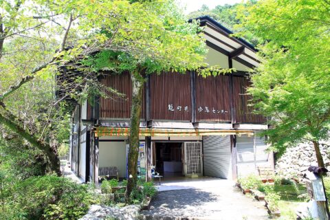 龍河洞 珍鳥センター（高知県香美市）