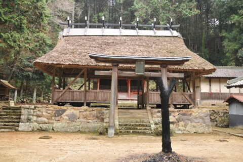 上鴨川住吉神社 鳥居と割拝殿