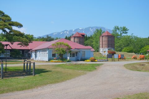 小岩井農場上丸地区