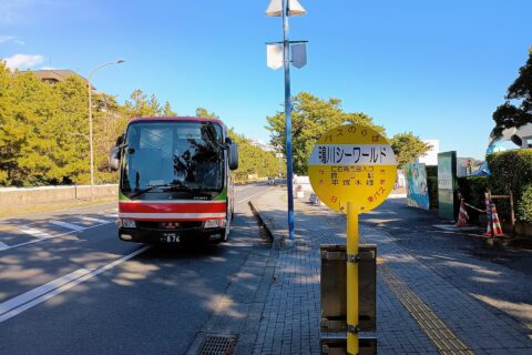 鴨川シーワールドに到着する千葉駅行き「カピーナ号」。天羽田杉浦までは一般道を走行し、途中下車も可能。（[1]に基づきナンバーは未消去）