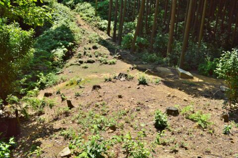 金田城 ビングシ土塁