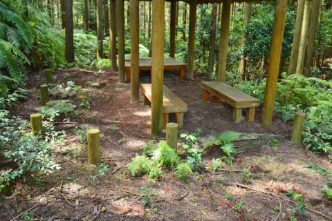 金田城 ビングシ山鞍部 掘立柱建物跡