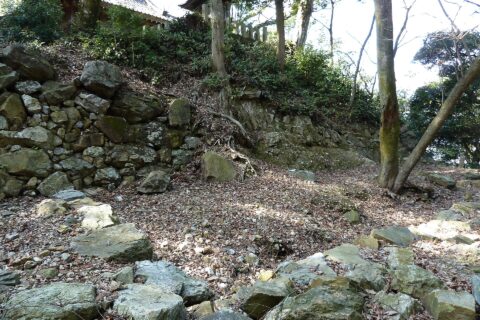 東腰曲輪に存在した天水井戸
