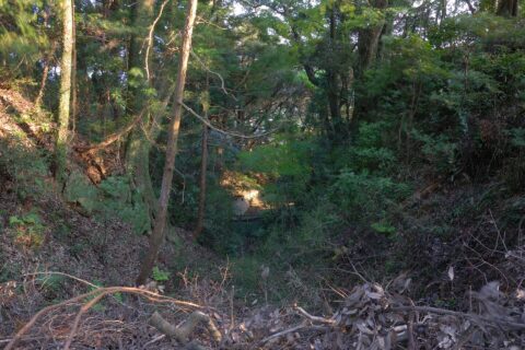 Honmaru karabori