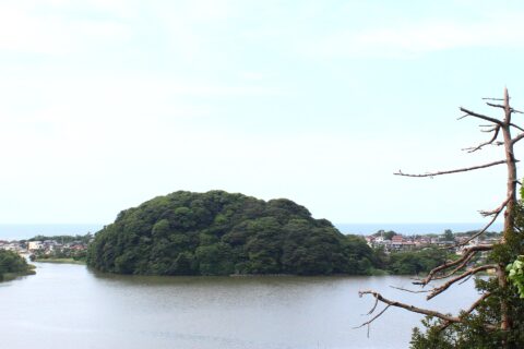 鹿島の森（石川県）