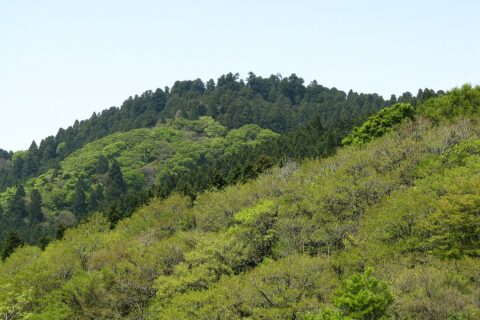 金剛山 葛木岳