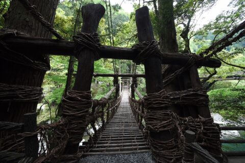 祖谷のかずら橋 入り口から橋全体をのぞむ