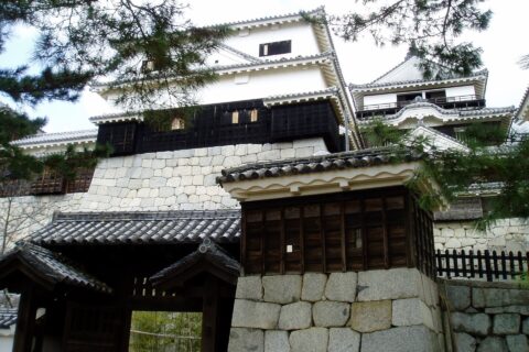 伊予松山城天守 (右奥 : 大天守、左 : 小天守、左手前 : 紫竹門)