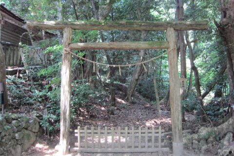 Keta Taisha — photo 8
