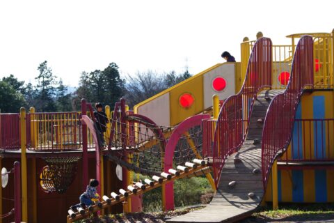 ​アスレチック遊具