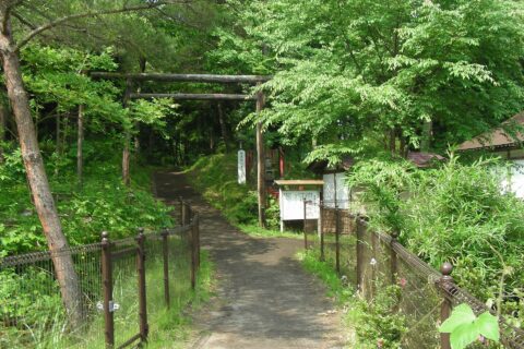 岩手県平泉町金鶏山登山口にて2008年6月撮影