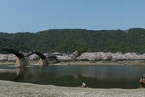 錦帯橋風景