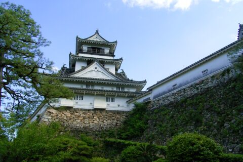 Kochi_Castle(ja:高知城)