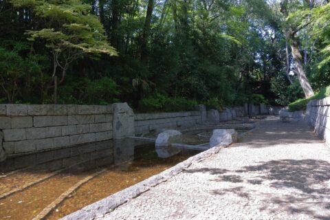 Suwakuruwa dorui, hori
