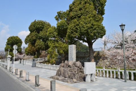 国分城 (大隅国) 概観