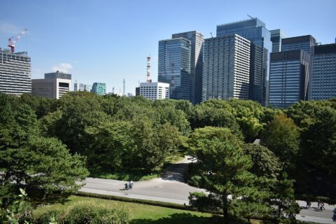 皇居東御苑 展望台