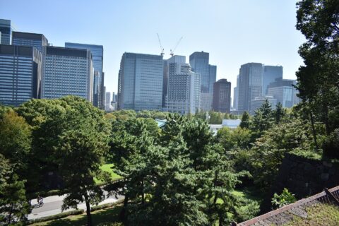 皇居東御苑 展望台