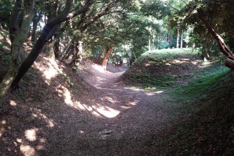 Komine`s deep moat3(East moat)