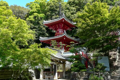 徳島県板野郡板野町にある四国八十八箇所霊場 第三番札所の金泉寺。多宝塔と伝・長慶天皇陵（下）。