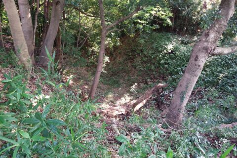Korinjiyama Nishi moat