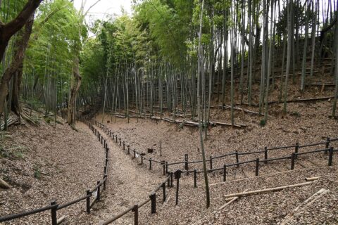 小机城 東郭北堀