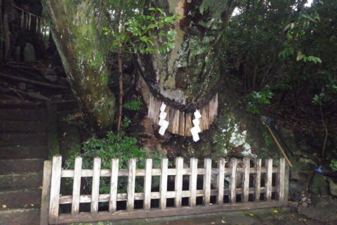 槵触神社 天真名井
