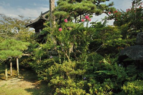 temple's garden