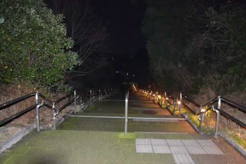 太宰府市石坂にある九州国立博物館。