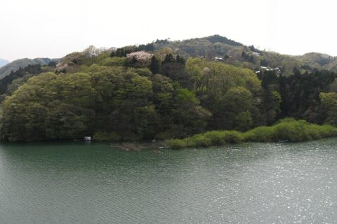 日連大橋より相模湖