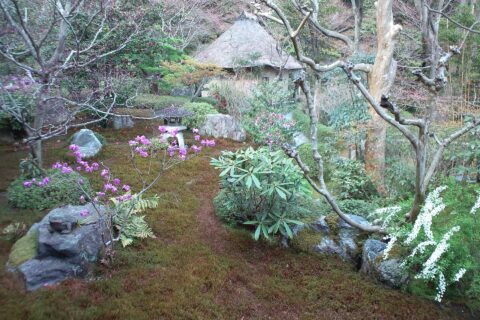 華厳寺 庭園